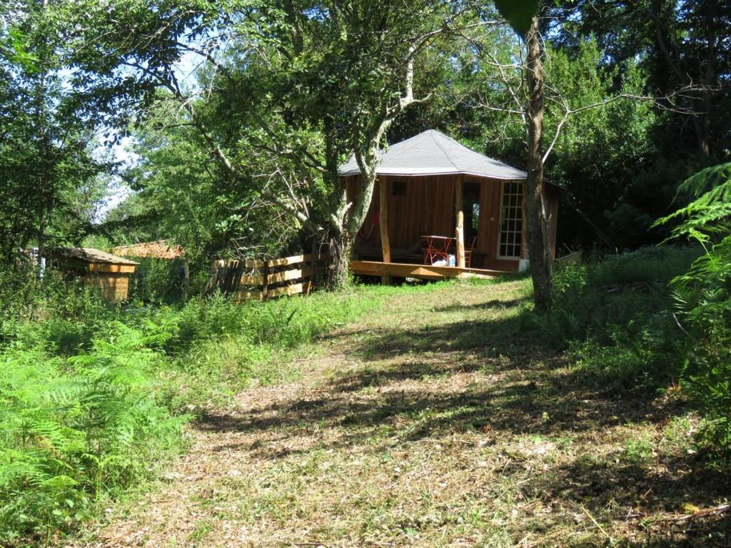 Tente Suspendue Au Coeur De La Foret Sainte-Croix-de-Volvestre Exterior foto